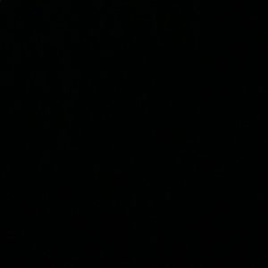 PINK Victoria secret socks